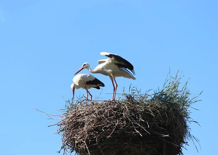 Farm stay Cicha Dolina Wydminy
